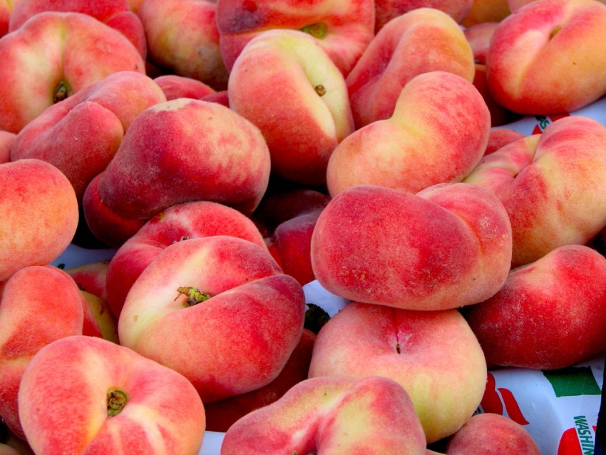 Как выглядит персик — описание внешнего вида, характеристики и свойства фрукта. Полезные советы о выбору, выращиванию и уходу за персиками (110 фото)